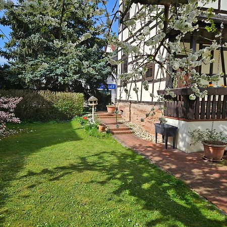 Apartments Am Saalebogen Mit Gartenterrasse & Grillkamin, Freie Parkplaetze Rudolstadt Exterior foto