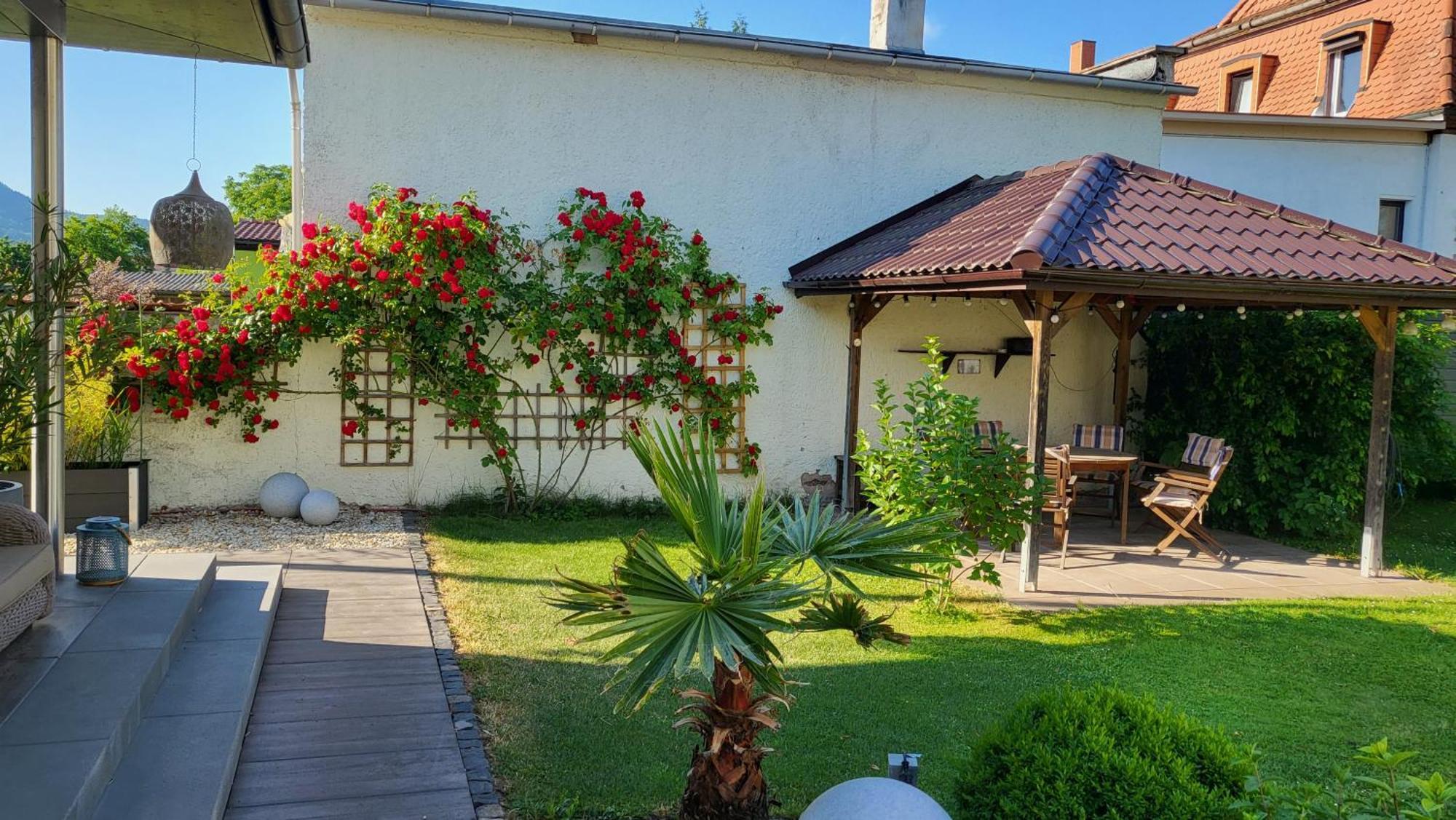 Apartments Am Saalebogen Mit Gartenterrasse & Grillkamin, Freie Parkplaetze Rudolstadt Exterior foto