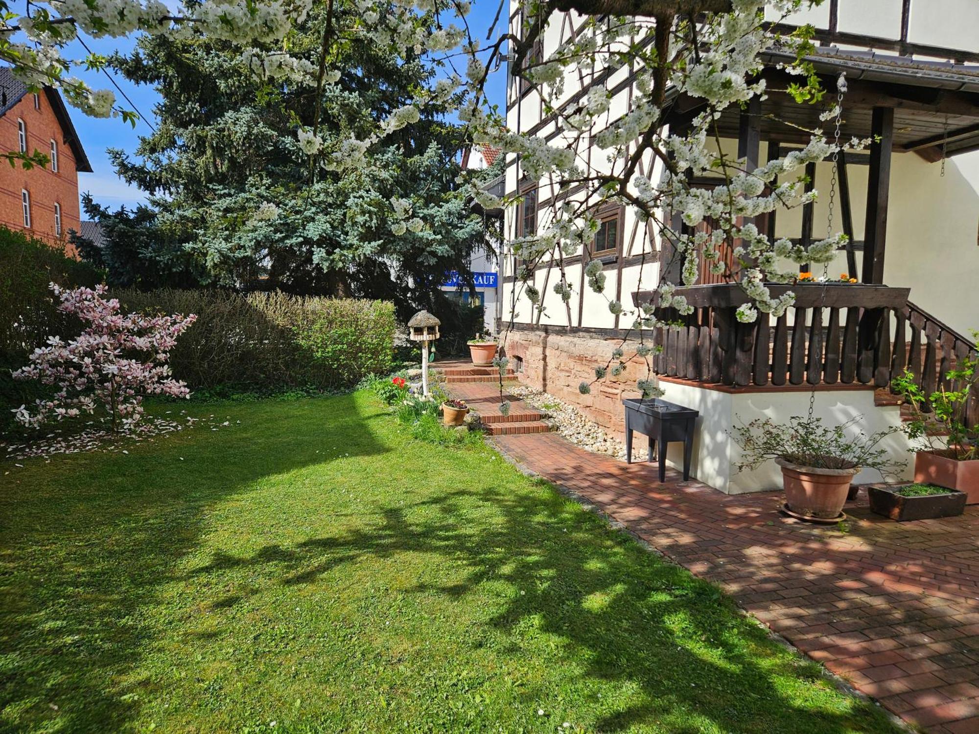 Apartments Am Saalebogen Mit Gartenterrasse & Grillkamin, Freie Parkplaetze Rudolstadt Exterior foto